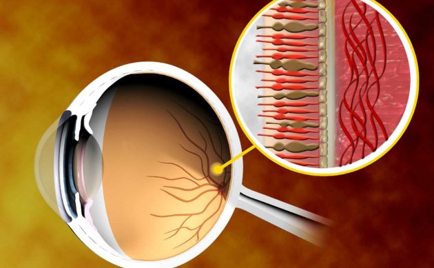 Будущее медицины: лечение заболеваний глаз стволовыми клетками
